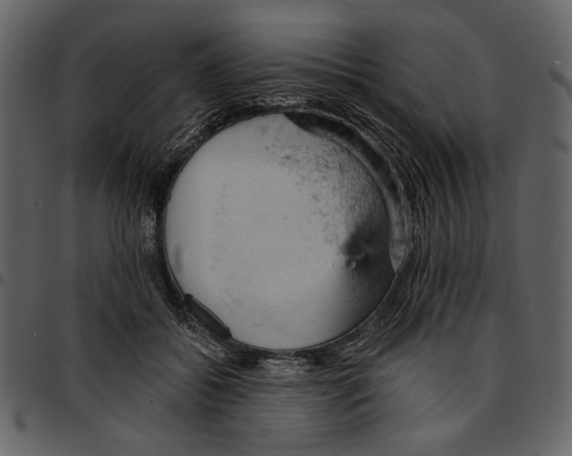 X0000096950556200802291059