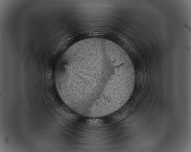 X0000096950557200802291059