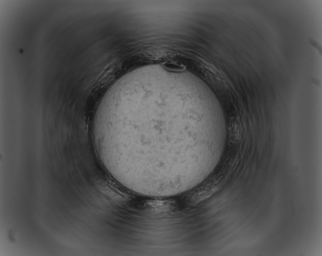 X0000096950558200802291059