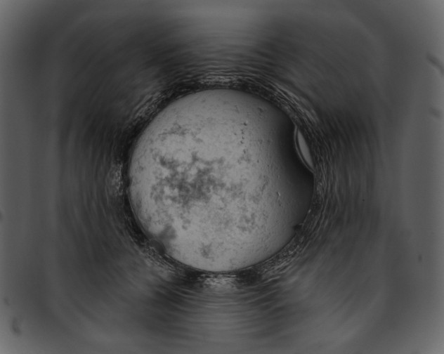 X0000096950560200802291059