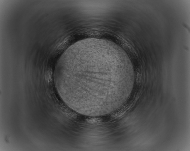 X0000096950561200802291059