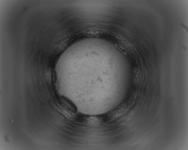 X0000096950562200802291059