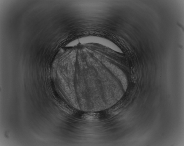 X0000096950563200802291059