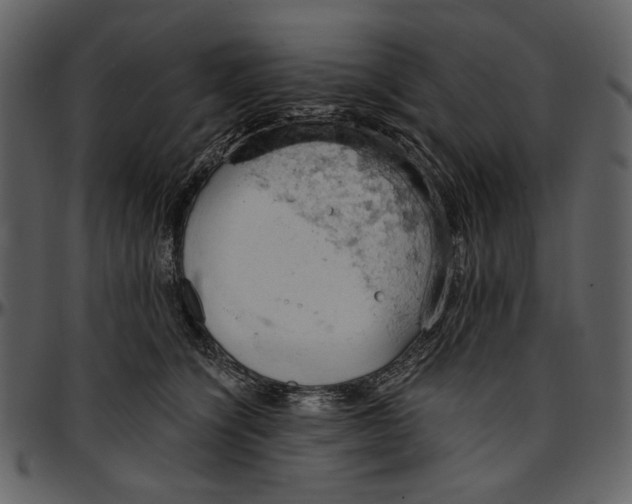 X0000096950564200802291059