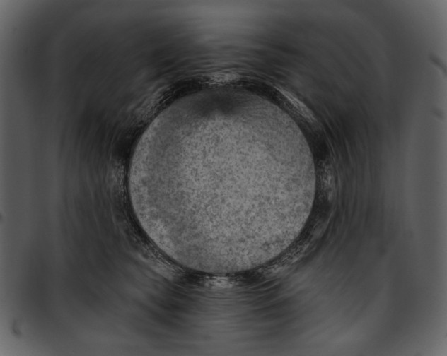 X0000096950565200802291059