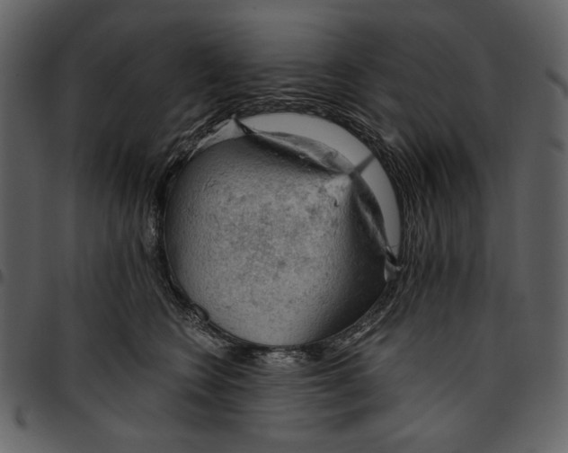 X0000096950566200802291059