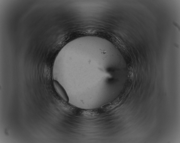 X0000096950568200802291059