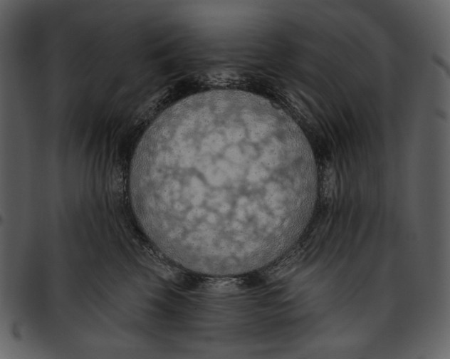 X0000096950569200802291059