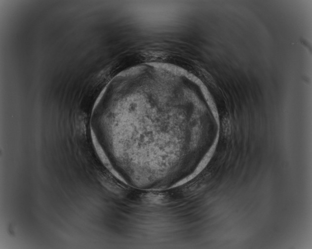 X0000096950570200802291059