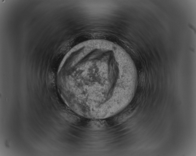 X0000096950571200802291059