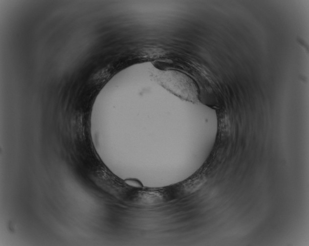 X0000096950572200802291059