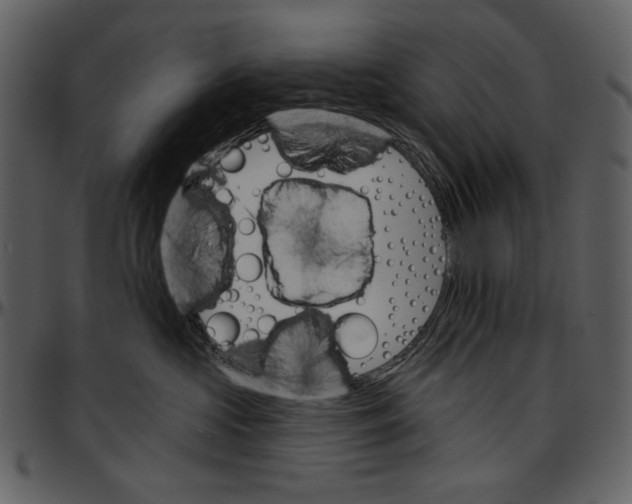 X0000096950573200802291059