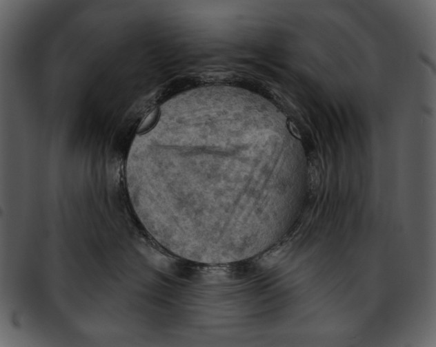 X0000096950574200802291059