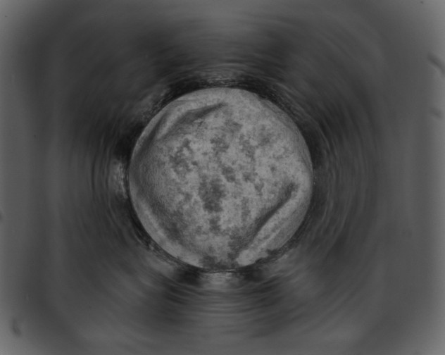 X0000096950575200802291059