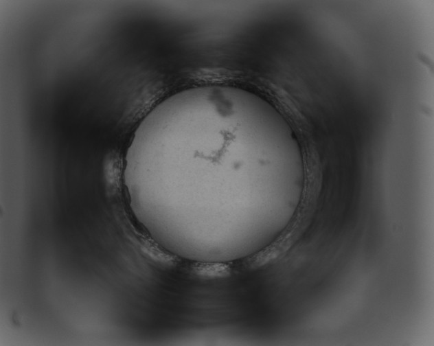 X0000096950576200802291059