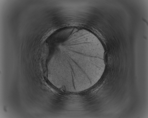 X0000096950577200802291058