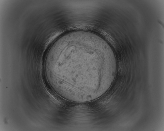 X0000096950578200802291058