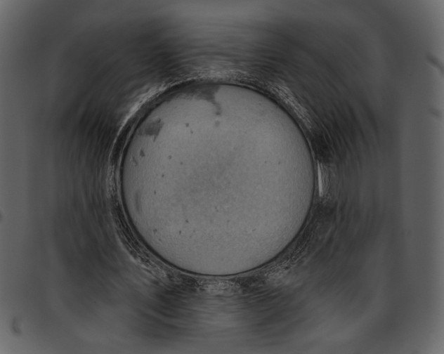 X0000096950579200802291058