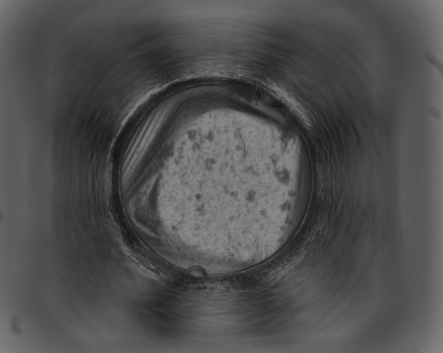 X0000096950580200802291058