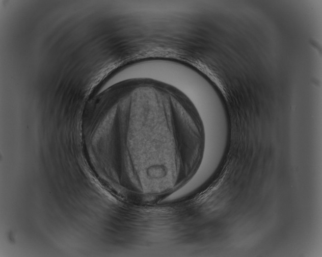 X0000096950581200802291058