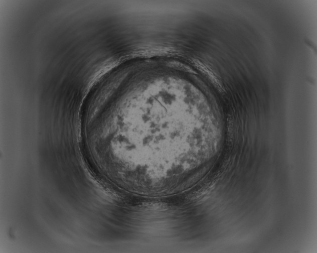 X0000096950582200802291058