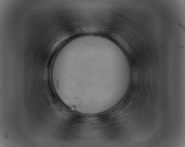 X0000096950583200802291058