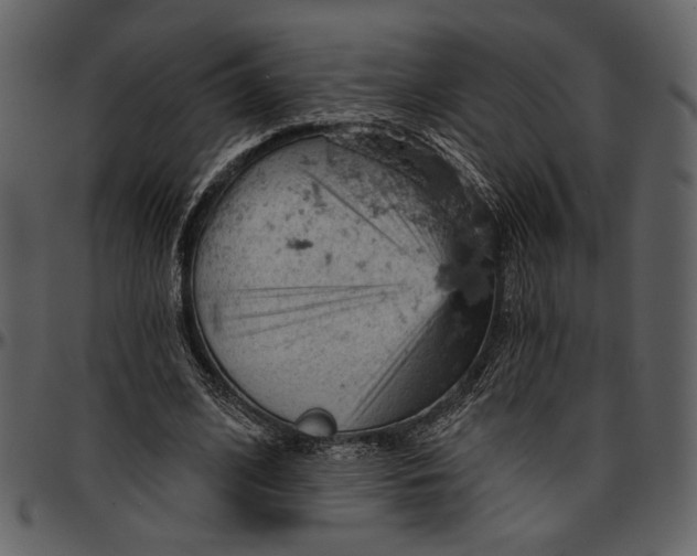 X0000096950584200802291058