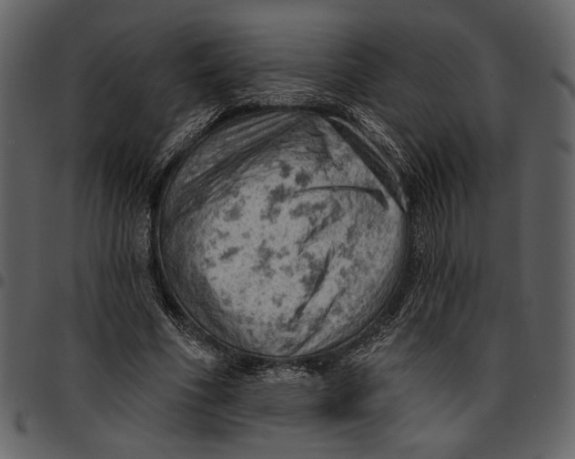 X0000096950586200802291058