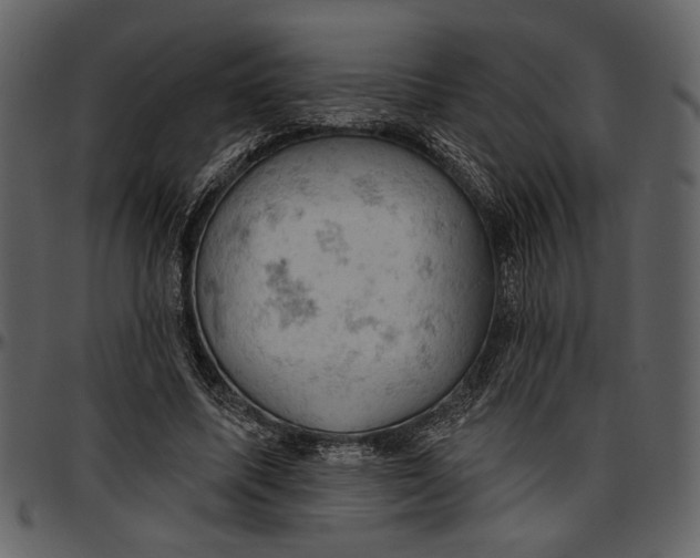 X0000096950587200802291058