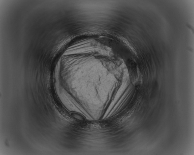 X0000096950588200802291058