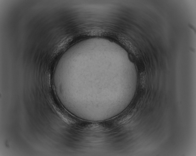 X0000096950589200802291058