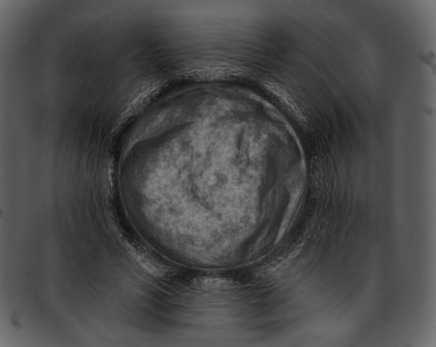 X0000096950590200802291058