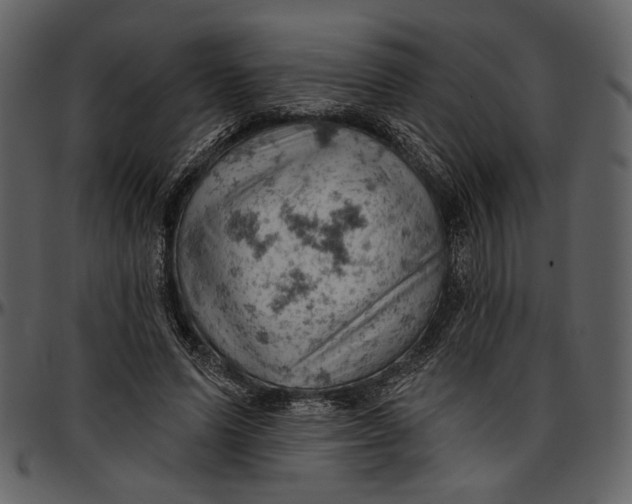 X0000096950591200802291058