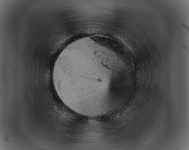 X0000096950592200802291058