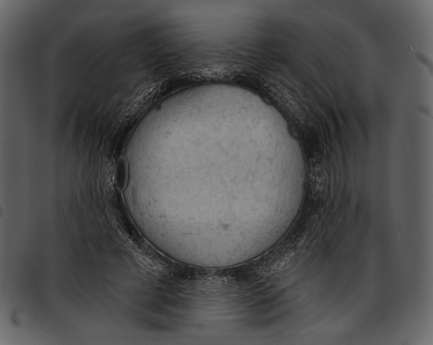 X0000096950593200802291058