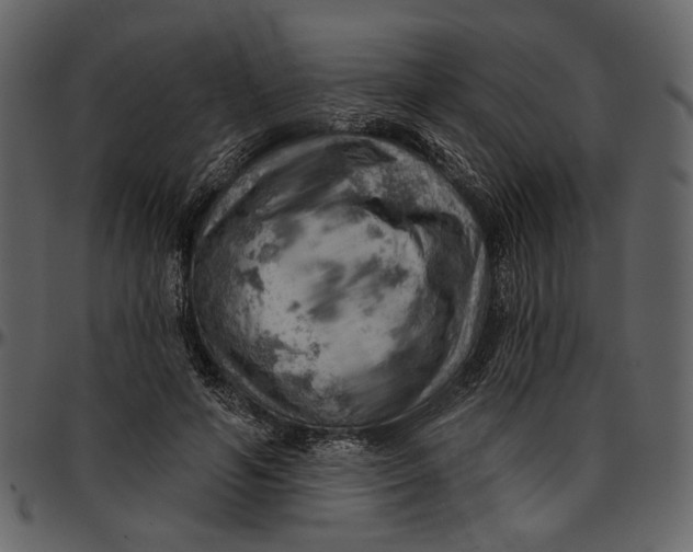 X0000096950594200802291058