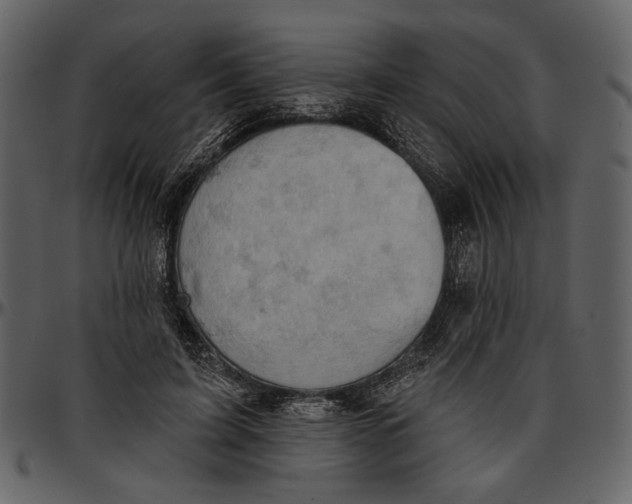 X0000096950595200802291058