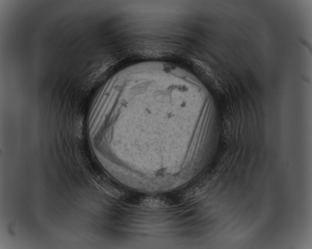 X0000096950596200802291058