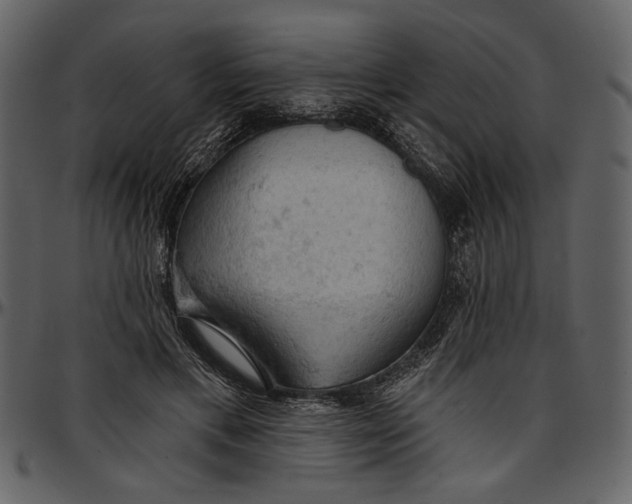 X0000096950597200802291058