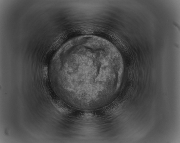 X0000096950598200802291058