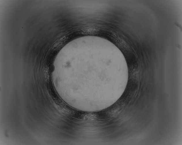 X0000096950599200802291058