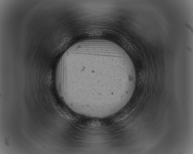 X0000096950600200802291058