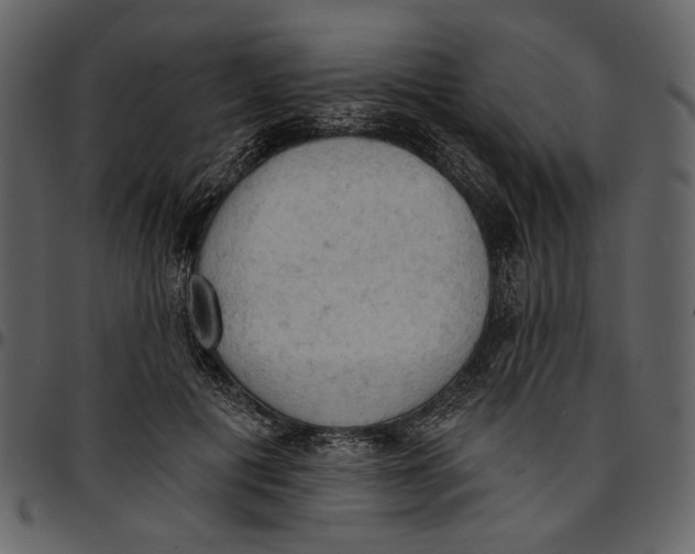 X0000096950601200802291058