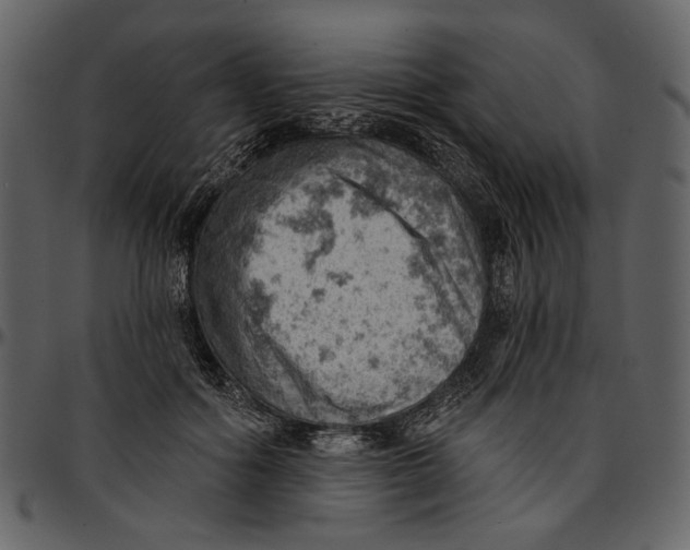 X0000096950602200802291058