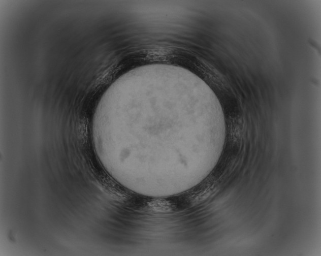 X0000096950603200802291058