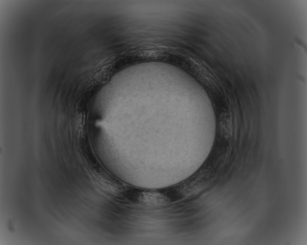 X0000096950605200802291058