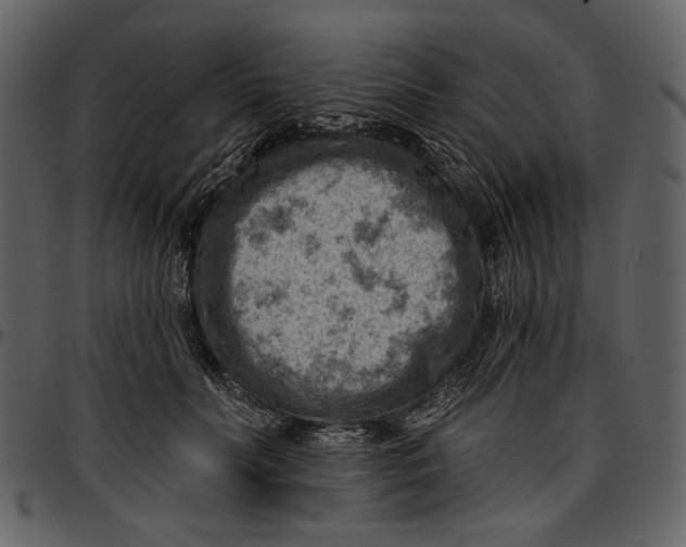 X0000096950606200802291058