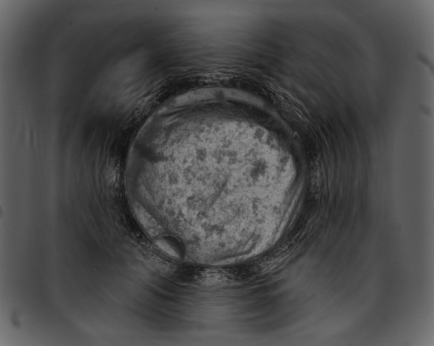 X0000096950608200802291058