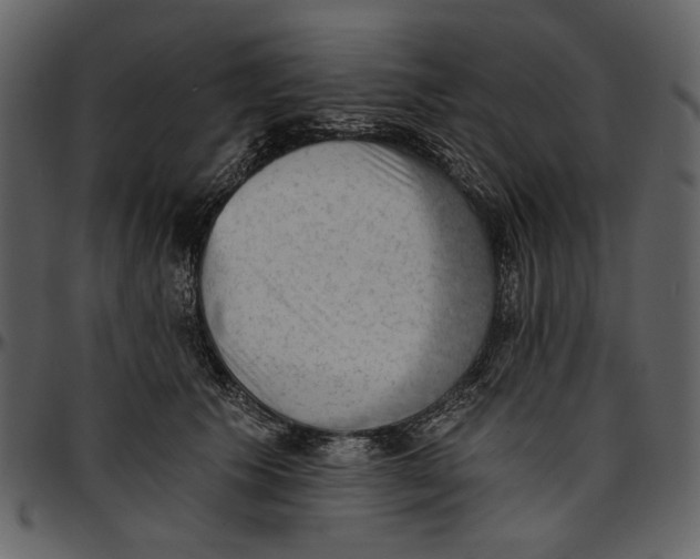 X0000096950609200802291058