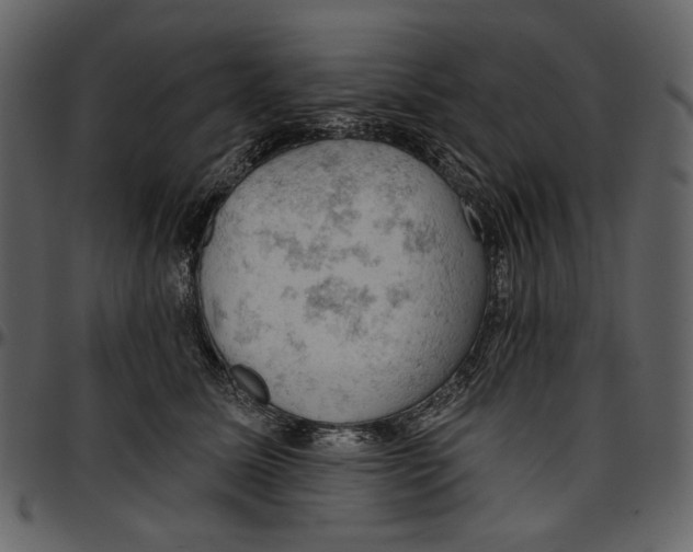 X0000096950611200802291058